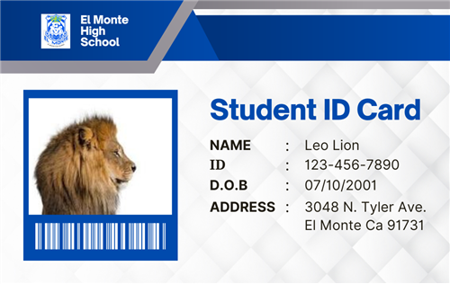 ID Card Example