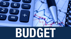 Fiscal Services 