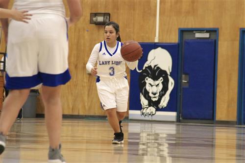 GBball GBball
